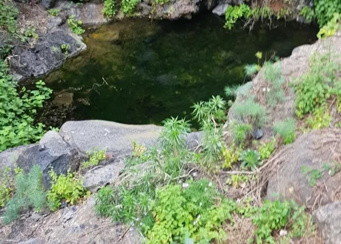 Liudis * Costa Adeje (Tenerife)